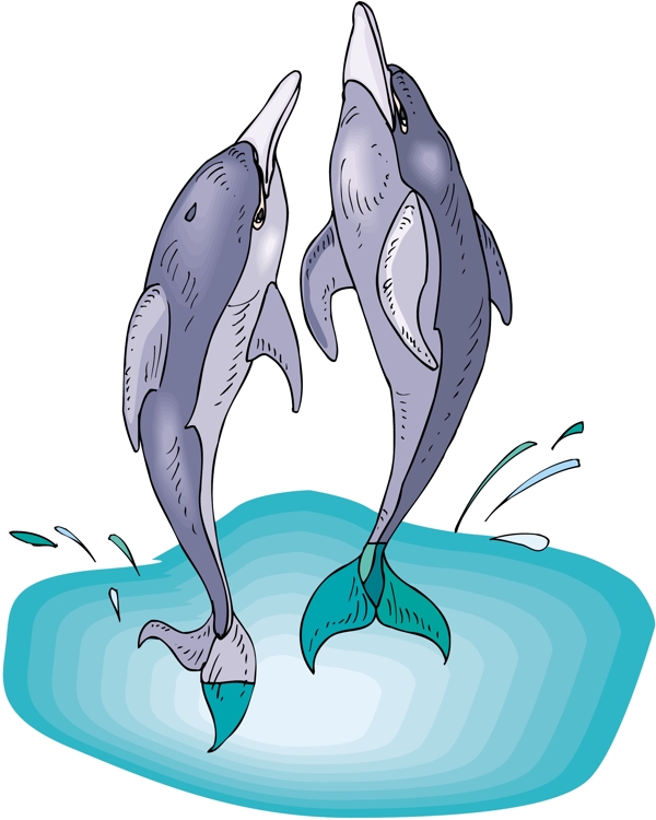 海豚水生动物矢量素材EPS格式0052