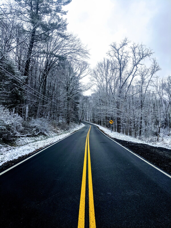 树林公路雪景