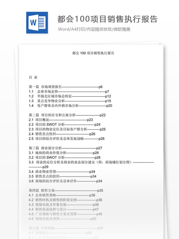 都会100项目执行报告