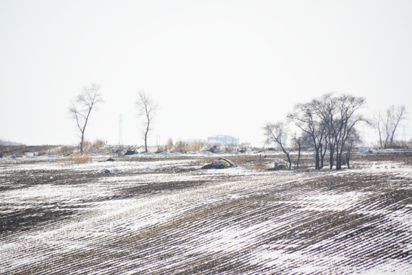 雪压田园图片