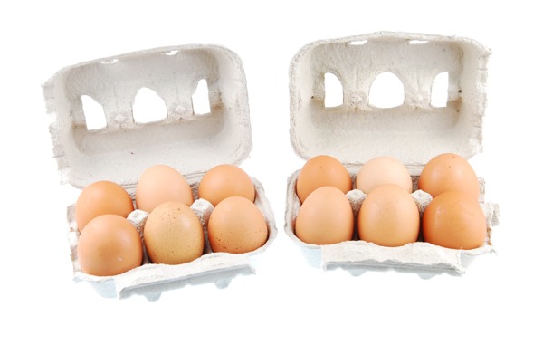 十二棕色鸡蛋装在纸盒盒