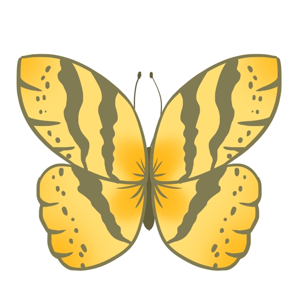 昆虫蝴蝶黄色