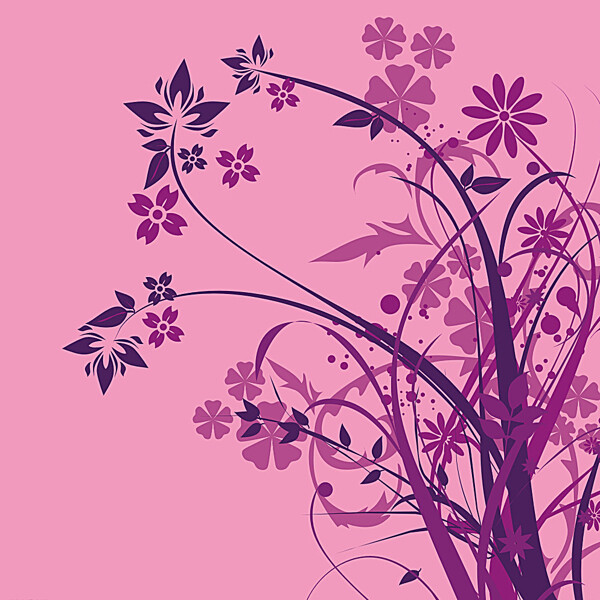 紫红花图片