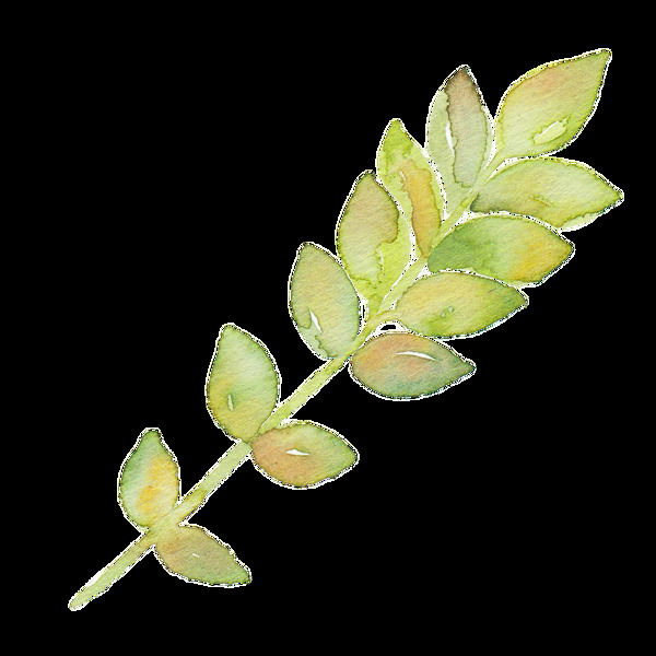 绿色优雅植物卡通透明素材