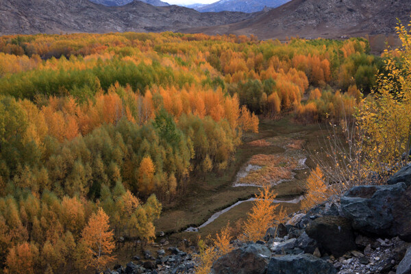 新疆伊犁富蕴如画美景1图片