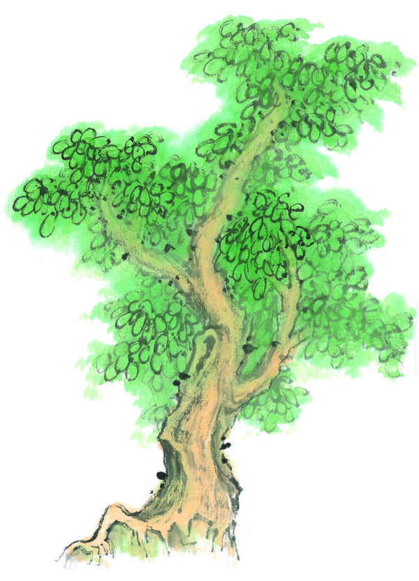 国画树木图片