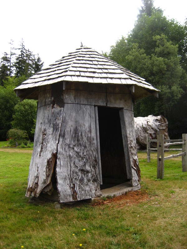 树桩小屋