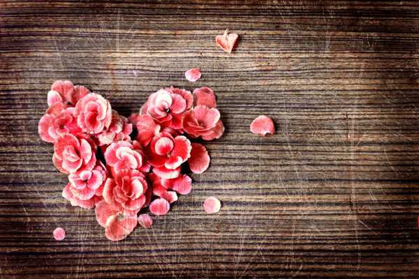 木板上的桃心鲜花图片