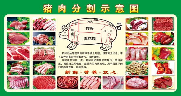 猪肉分割示意图