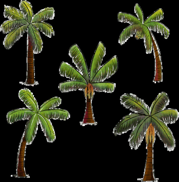 绿色椰子树免抠png透明图层素材
