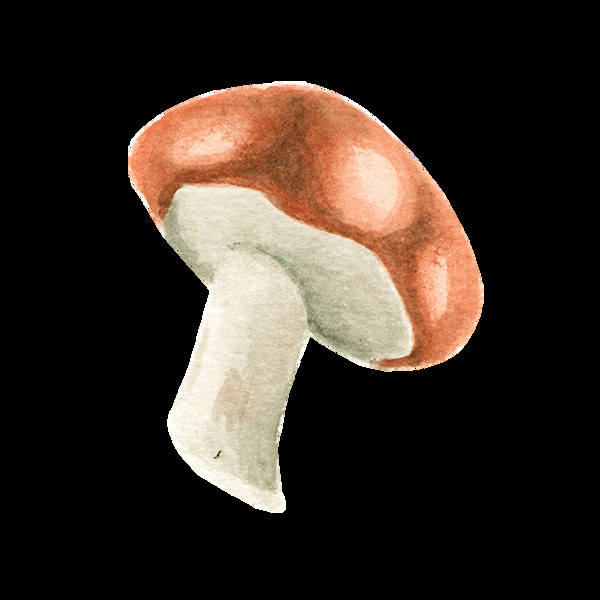 手绘香菇菌类元素