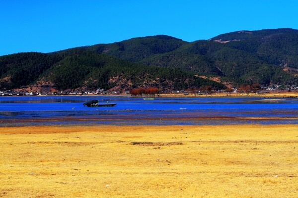 丽江拉市海景图片