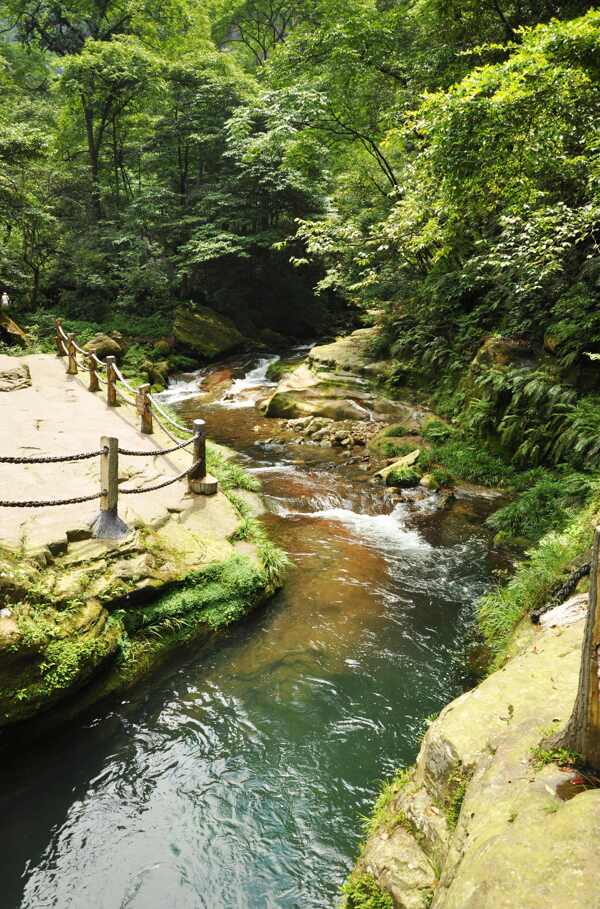 张家界风景