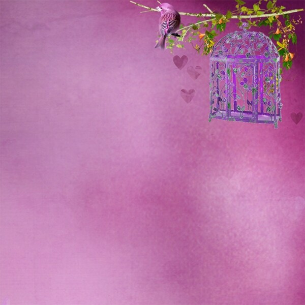 紫色鸟笼背景