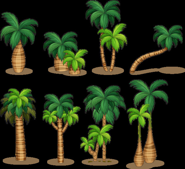 漂亮棕榈树椰子树免抠png透明图层素材