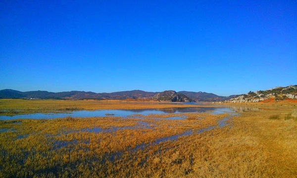 海峰湿地风景图片
