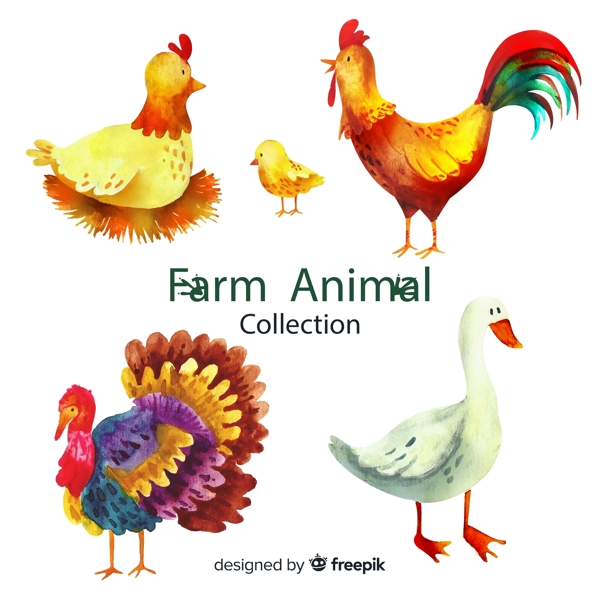 彩绘农场动物图片