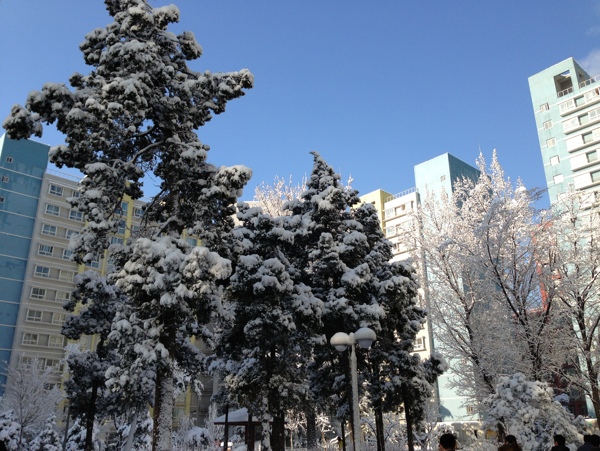 雪后初晴图片