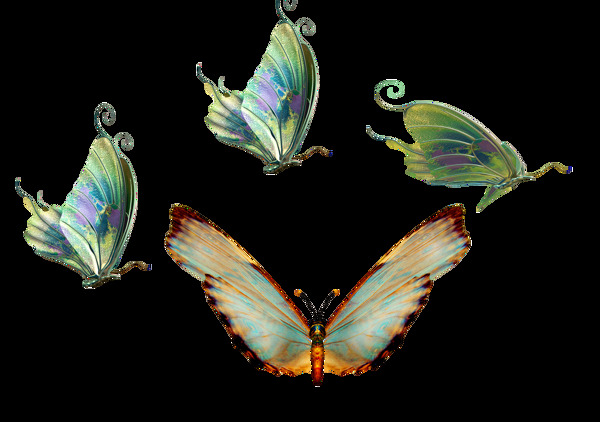 精致美丽蝴蝶透明素材