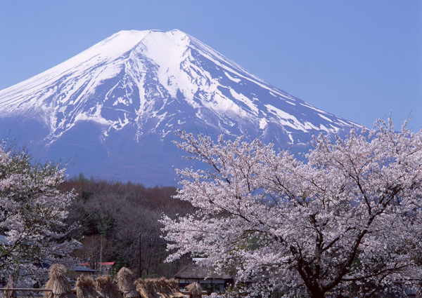 富士山图片