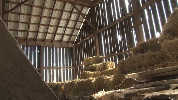 堆叠的一捆捆干草在一个谷仓2股票的录像视频免费下载