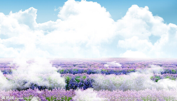 紫色花海云朵banner背景素材