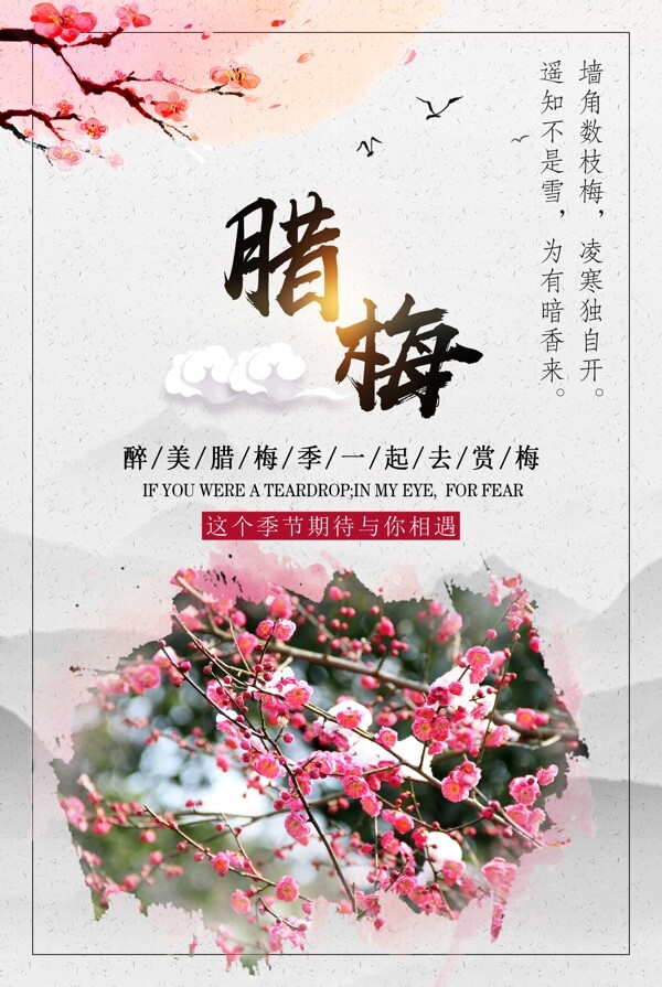 腊梅中国风旅游宣传海报
