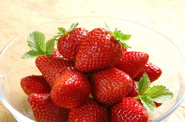 草莓062图片