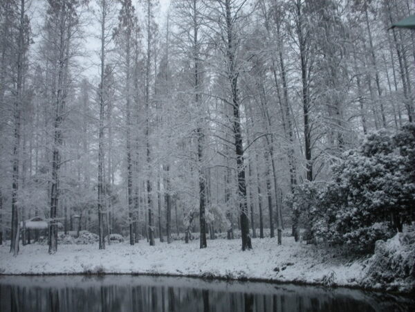 雪景图片