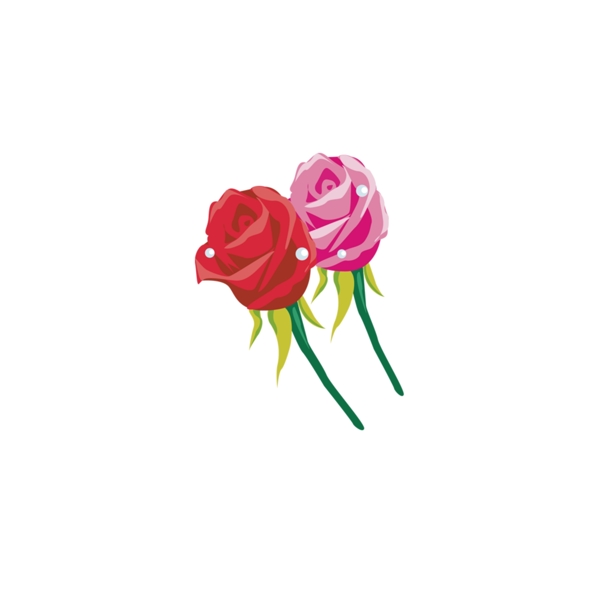 玫瑰花朵浪漫