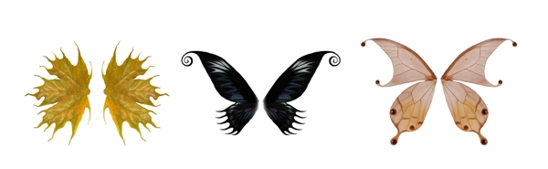 三款精美蝴蝶翅膀素材图片