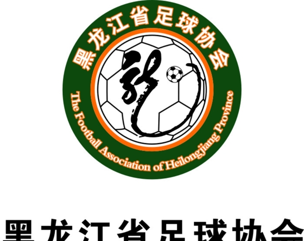 黑龙江省足球协会图片