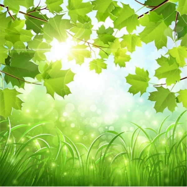 绿色的自然背景矢量插图免费