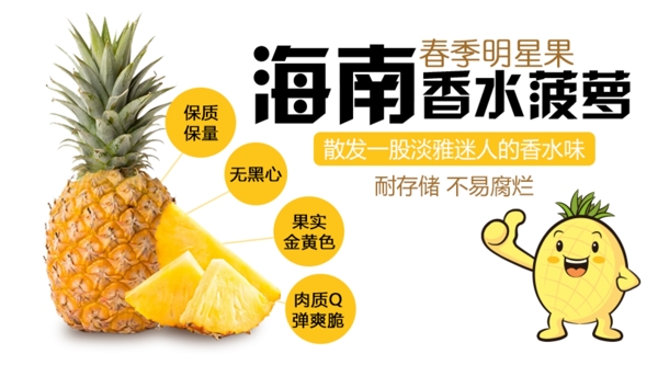 海南香水菠萝水果首页Banner