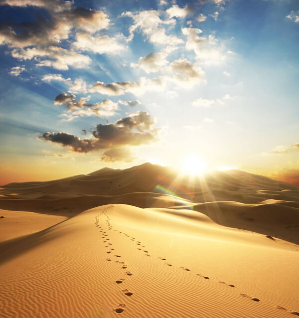 阳光沙漠图片