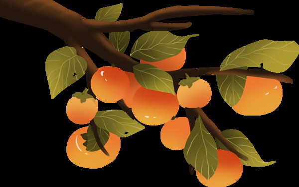 柿子树水果卡通插画海报素材图片