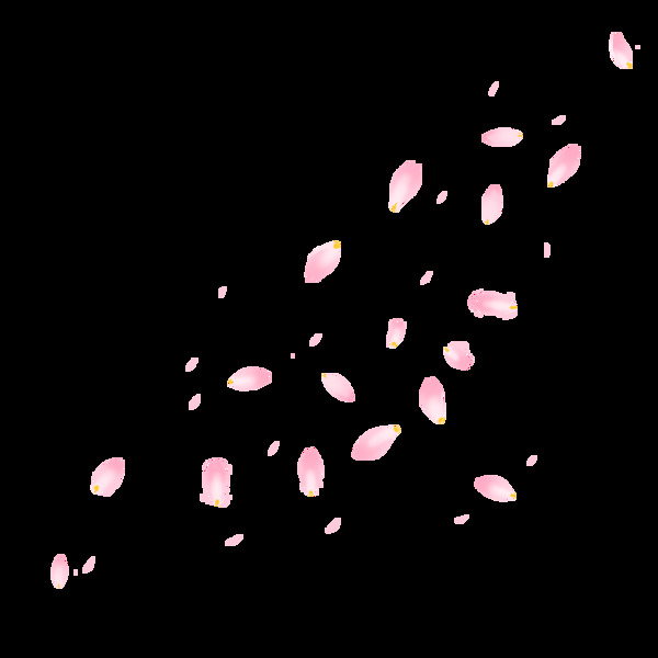 漂浮花瓣樱花粉色