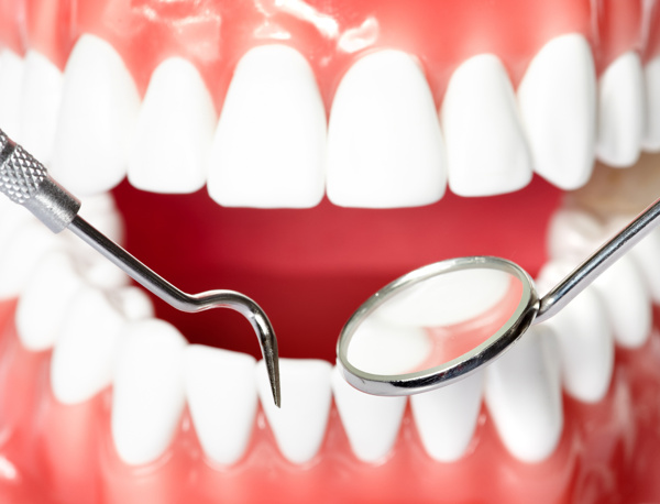 医用口腔牙齿模型图片