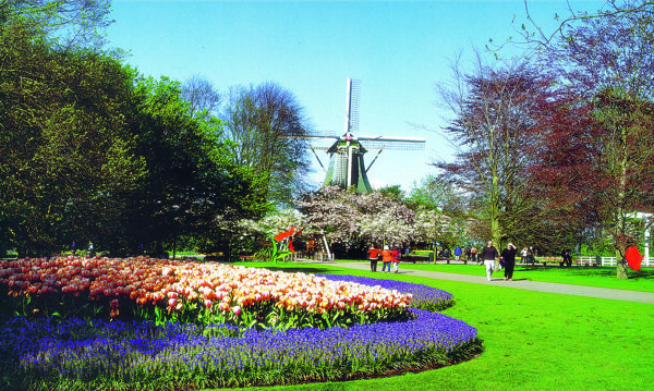 库肯霍夫花园荷兰4图片