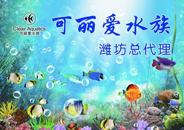 水族馆图片