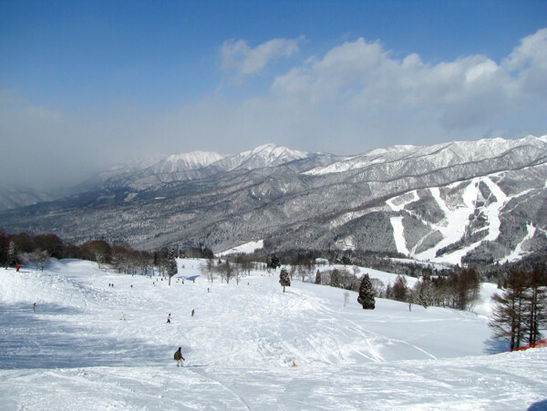 雪原图片