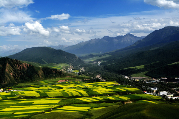 青海祁连卓尔山风景