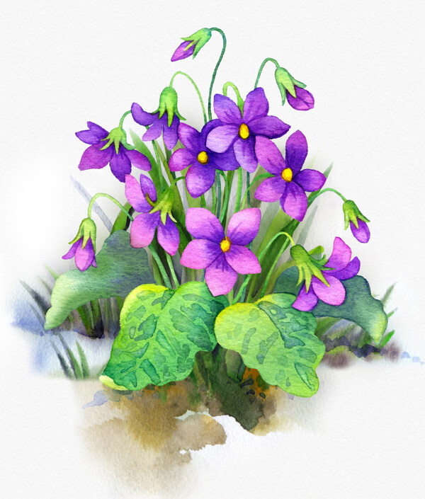 水彩鲜花插画图片