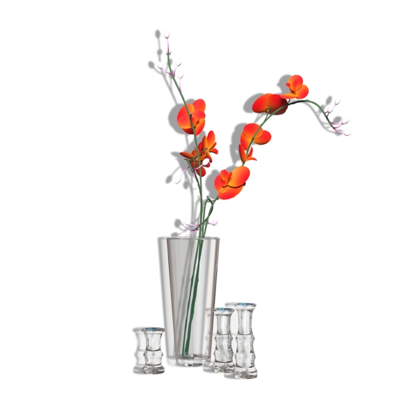 玻璃水杯插红色花