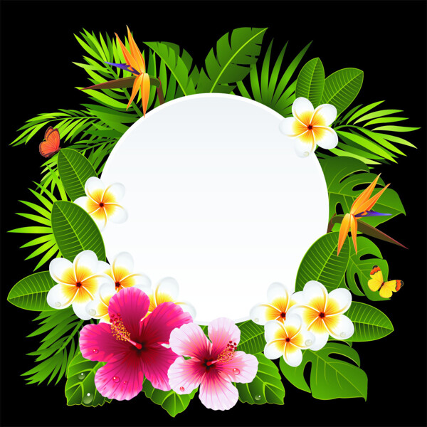 热带花卉装饰标签矢量