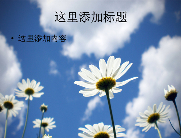 蓝天和花的小清新风景4