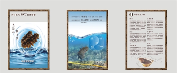 海参海报