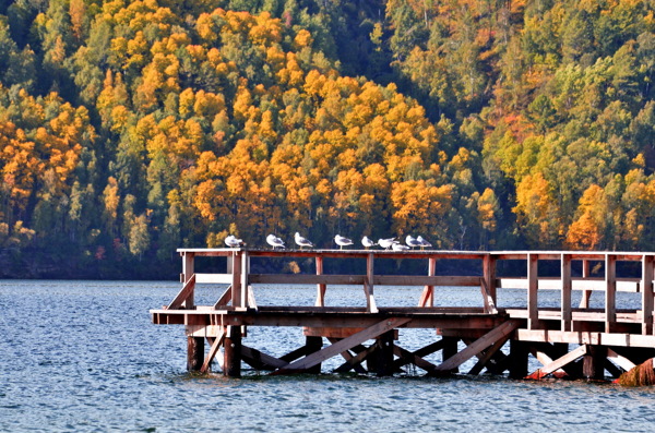 秋天的贝加尔湖图片