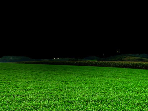 绿色大草原png元素
