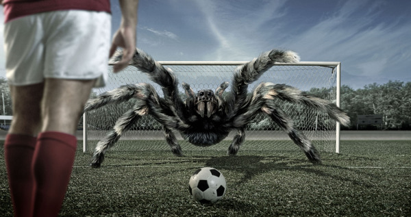 蜘蛛足球守门员创意壁纸